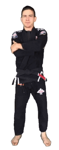 BJJDachau no why bjj martial arts Sticker