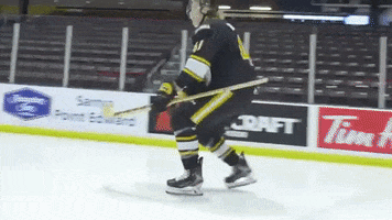 Ohl GIF by Sarnia Sting