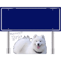 Utrecht Benji Sticker