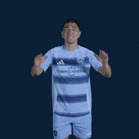 Major League Soccer Football GIF by Sporting KC
