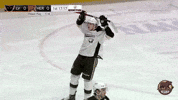 Frustrated GIF by Hershey Bears
