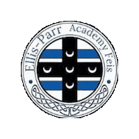 Champions Irish Sticker by Ashling Daly