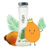 eliyanyc coconut water eliya king coconut water Sticker