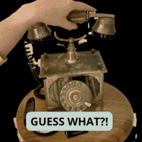Makeupgroothandel what telefoon guess what bellapierre GIF