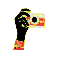 Photography Camera Sticker by MTV India
