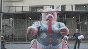 New York Nyc GIF by HBO