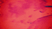 spice channel GIF