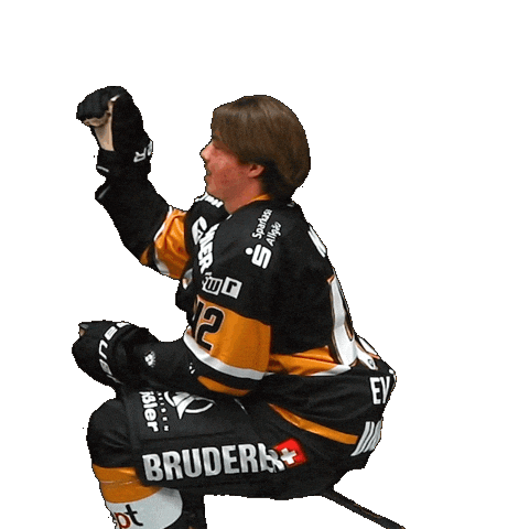 Hockey Fuessen Sticker by EV Füssen