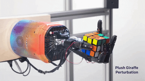 headsquirrels giphygifmaker ai wut giraffe GIF