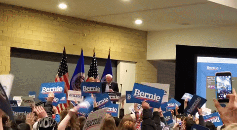 Natating bernie sanders true love feel the bern our president GIF