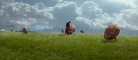 episode 2 GIF by Star Wars