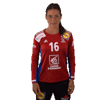 Ffhandball Sticker by Fédération Française de Handball
