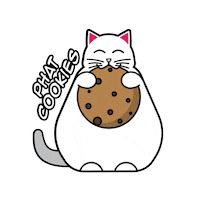 Sukicookie cat cookies fatcat phat Sticker
