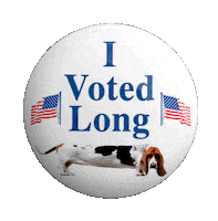 Vote Sally Sticker