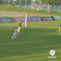 Goalkeeper Goalie GIF by ELEVEN SPORTS