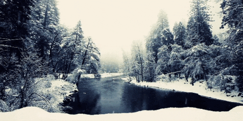 Video gif. Snow falls onto a snowy river scene. Trees line the river’s edge and are dusted with snow.