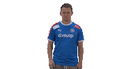 Storks Fifa 20 Sticker by Holstein Kiel