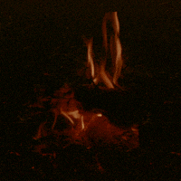 animation art GIF by Liaizon Wakest