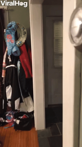 Family Having Fun Scaring Each Other