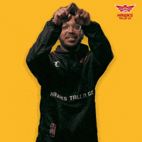 HawksTalonGC frame picture perfect take a pic book it GIF