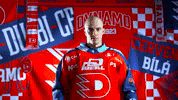Hockeytown GIF by HC Dynamo Pardubice