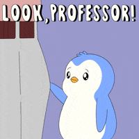 Look Penguin GIF by Pudgy Penguins