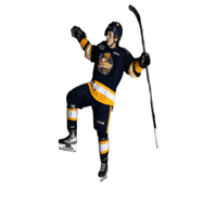 ottershockey ohl erie otters erie otters hockey otters hockey Sticker