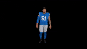 Michigan Arizona GIF by Detroit Lions