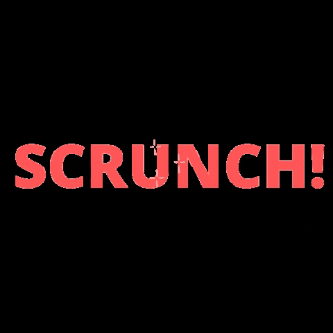 wearescrunch fashion boutique sustainablefashion scrunchies GIF