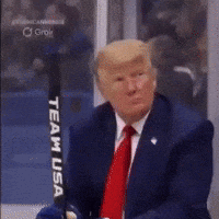 Donald Trump Hockey GIF by Respective