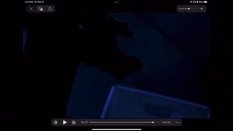 Animated GIF