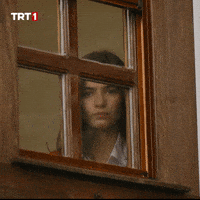 Look Window GIF by TRT