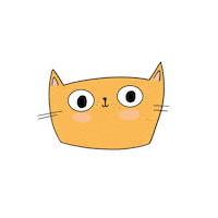 Cats Catlove Sticker