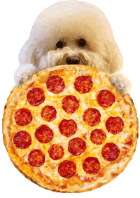 Dog Pizza Sticker
