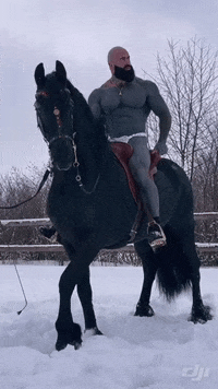 Horse Bodybuilder GIF by Database數據