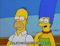 homer simpson episode 6 GIF