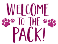 Love Dogs Photography Sticker by puppytales