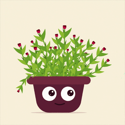 BandiOnline giphyupload animation plants leaves GIF