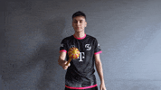 Magic Team GIF by SK Gaming