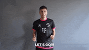 Lets Go Win GIF by SK Gaming