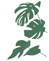 anaasprino flower plant plants boho Sticker