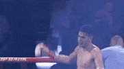 toprank fight boxing espn fighters GIF