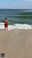 Man Reels in Shark on Long Island Beach