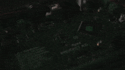 PROTECTGLOBAL  GIF