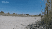 fire car GIF by DMAX