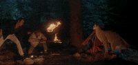 when animals attack horror GIF by Shudder