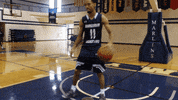 vwu_marlins marlins vwu wethebeach virginiawesleyan GIF