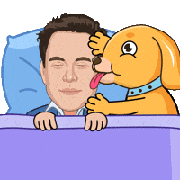 Good Morning Love GIF by MyMorningDog