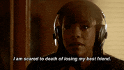 fox innocentonfox GIF by Proven Innocent