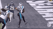 Carolina Panthers Football GIF by NFL